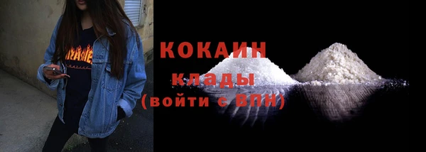 прущие грибы Абинск