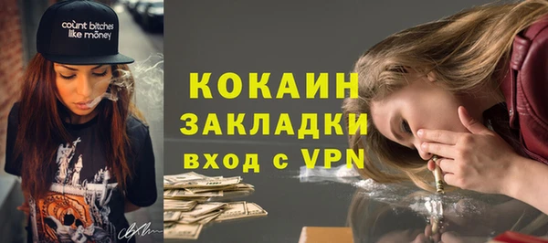 прущие грибы Абинск