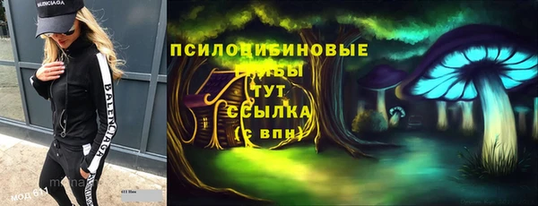прущие грибы Абинск